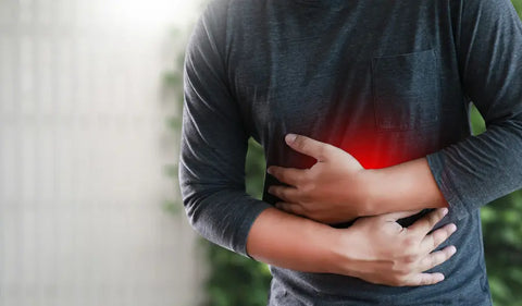 HerbsPro.com - What causes heartburn?