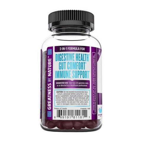 Zhou Nutrition, Gut Guru Probiotic Gummies, 60 Count Zhou Nutrition