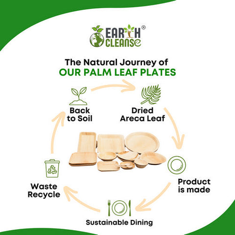 Earth Cleanse, Areca Palm Leaf Square Bowls 4-Inch, Pack of 25 Earth Cleanse